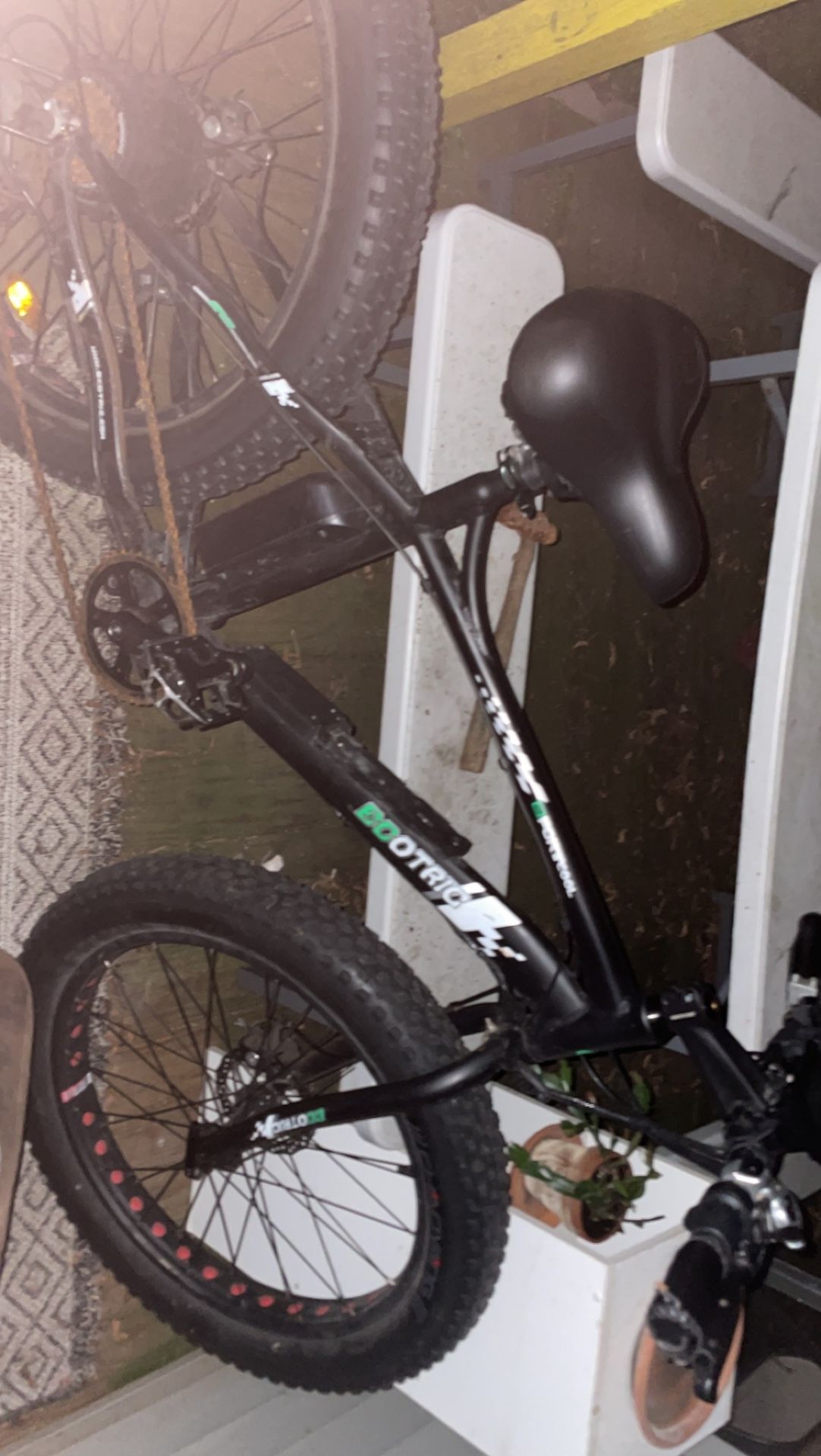 Ecotric Bike