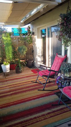 Patio Plants, Rocking Chairs, Carpet EVERYTHING Cheap $20/ Min.