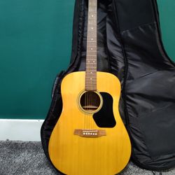 Walden D350  Dreadnought Acoustic - Gloss Natural
