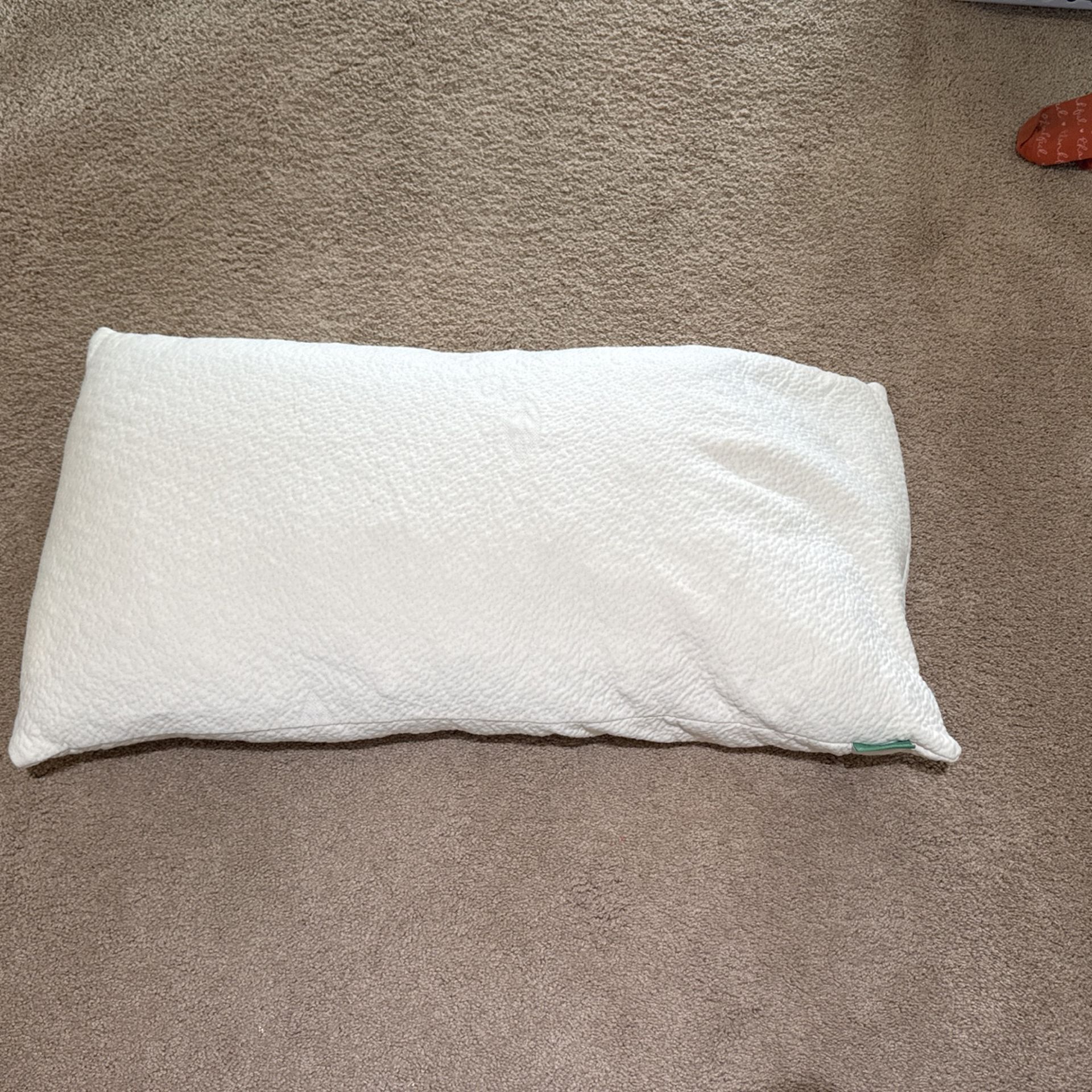 Avocado Brand Pillows - 2