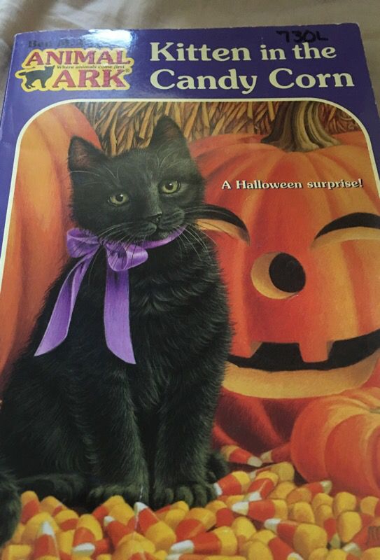 Animal ark book: kitten in the candy corn
