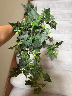Faux ivy greenery