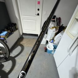 spinning rod