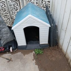 Cute Dog House