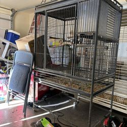 Bird Cage