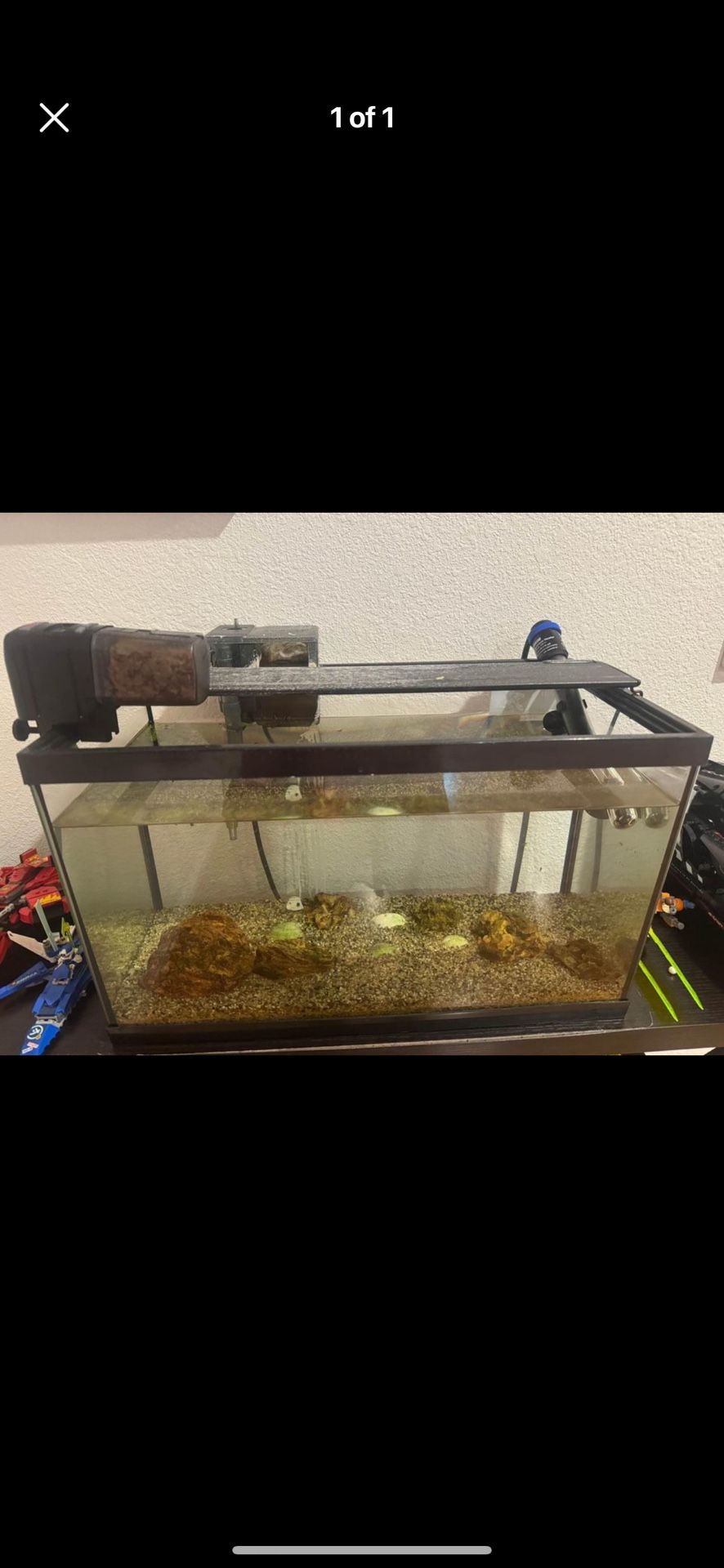 Aquarium Complete Set Up