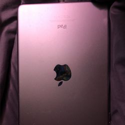 iPad 4 Mini 