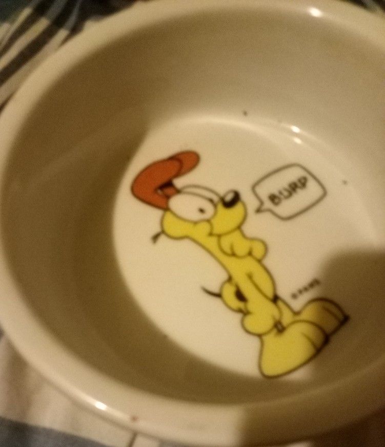 Odie Food Or Water Bowl