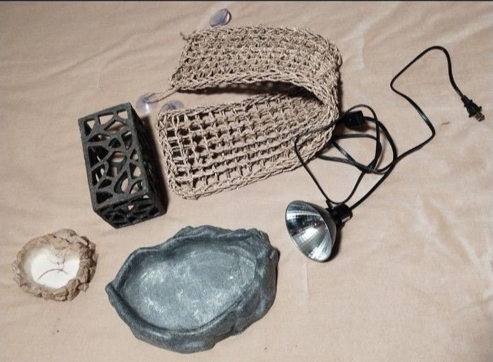 Reptile Terrarium Habitat Package Read Listing