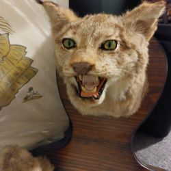 Lynx Mount Gun Holder 