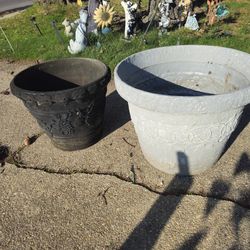 Prices firm.. two very large planters