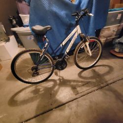 Titan Trailblazer mountain bike. 