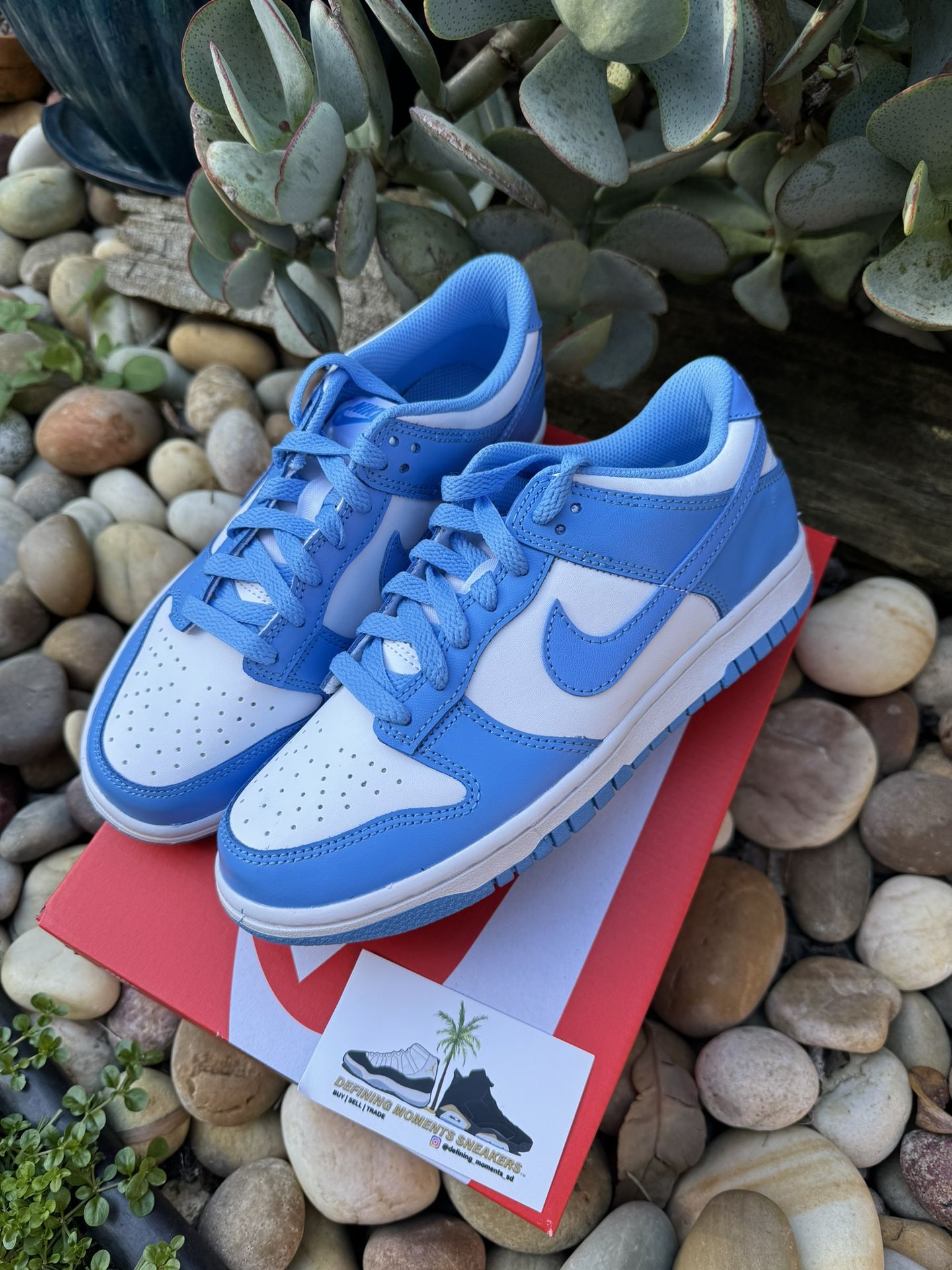 Nike Dunk Low UNC 5y 5.5y 6y 6.5 Y 7y