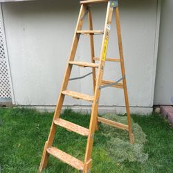 Type II Wooden Commercial Ladder 225lb Weight Capacity