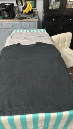 Hanes Extra large T-Shirts