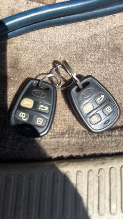 2 Kia working remotes