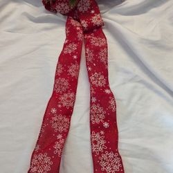 Pine cone, red berry and evergreen bow for door, present or wall decoration.