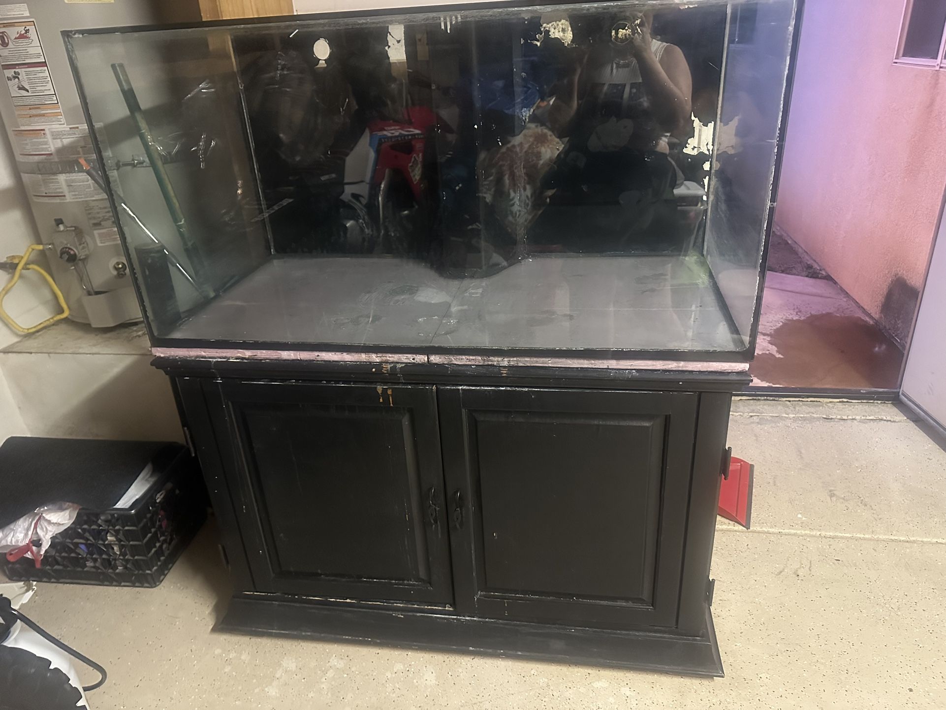 Fish Tank