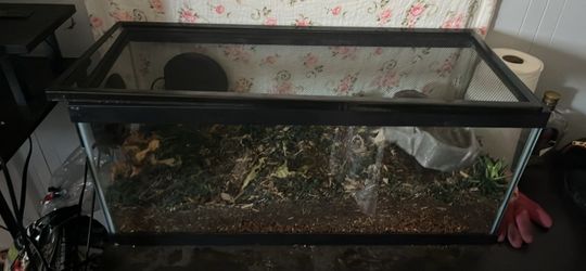 20 gallon long tank