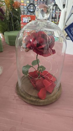 Beauty and the Beast–Inspired Enchanted Rose 🌹