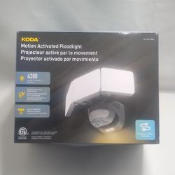 Motion Activated LED Floodlight