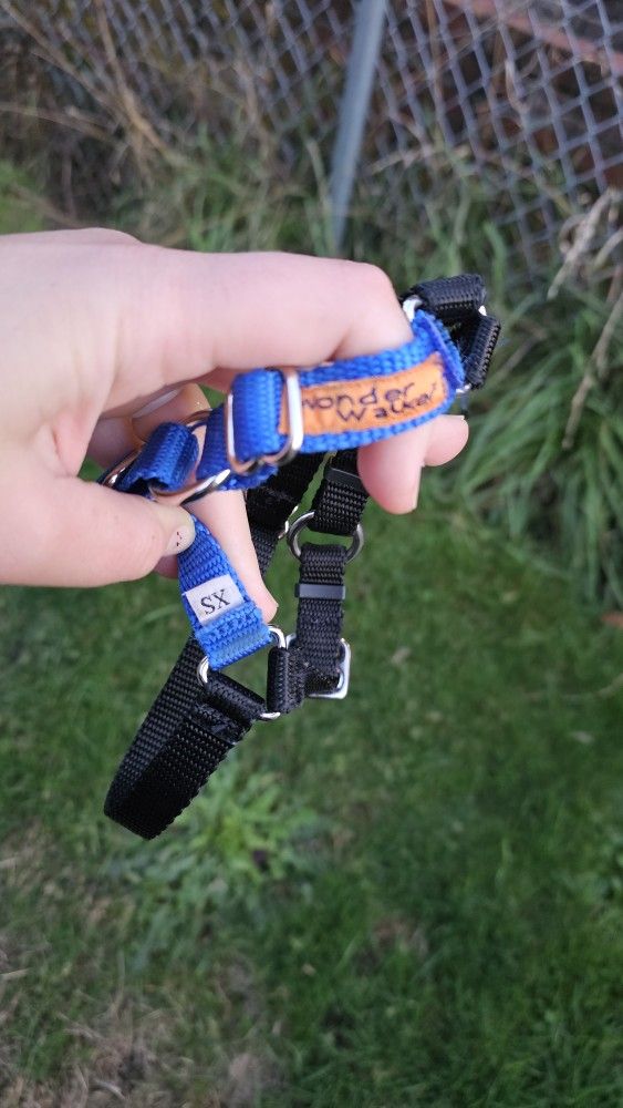 Wonder Walker Dog Harness