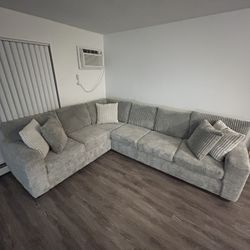 Couch/Sofa 