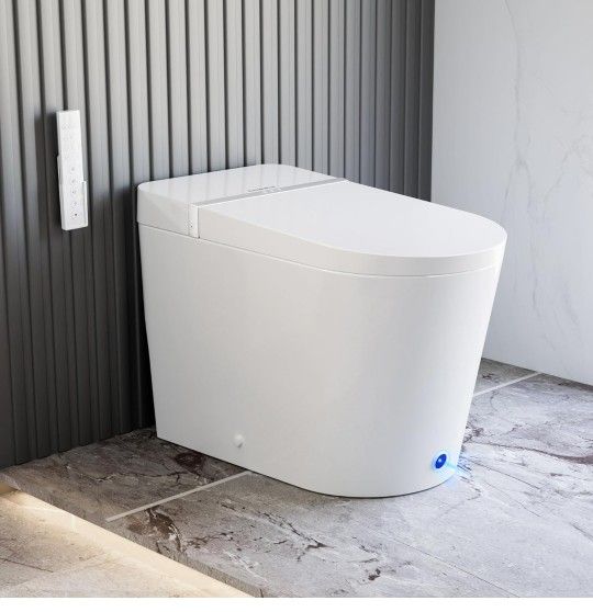 Casta Diva Smart Toilet With Built-in Bidet.