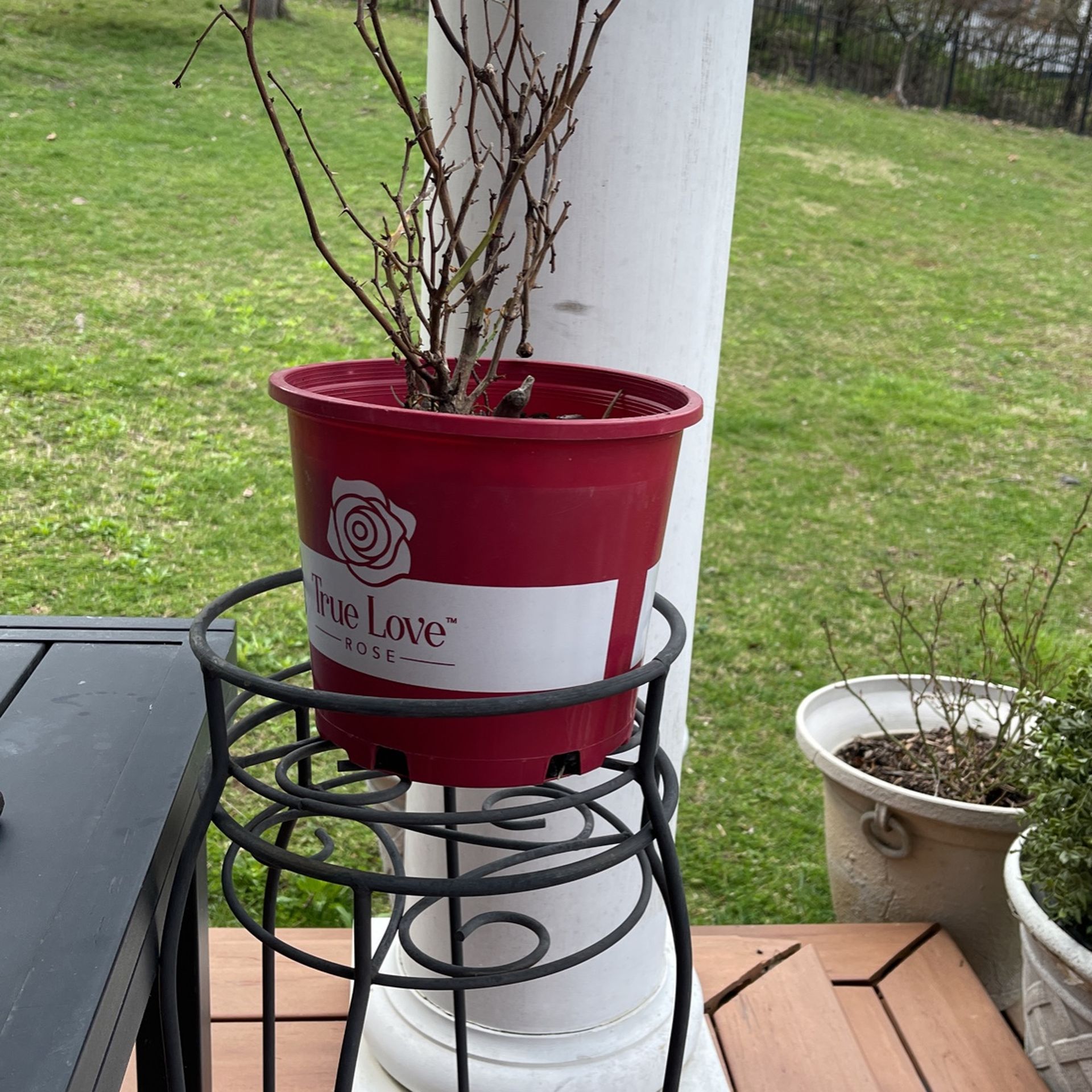Black Flower Pot Holder