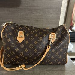 Louie Vuitton Purse