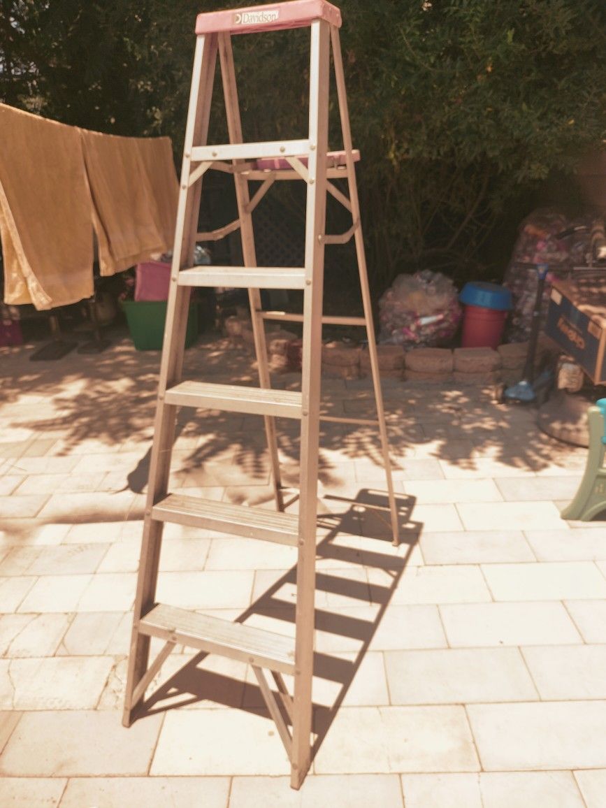 Davison Step Ladder Tool 6 F