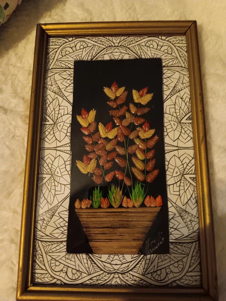Framed Seed Art