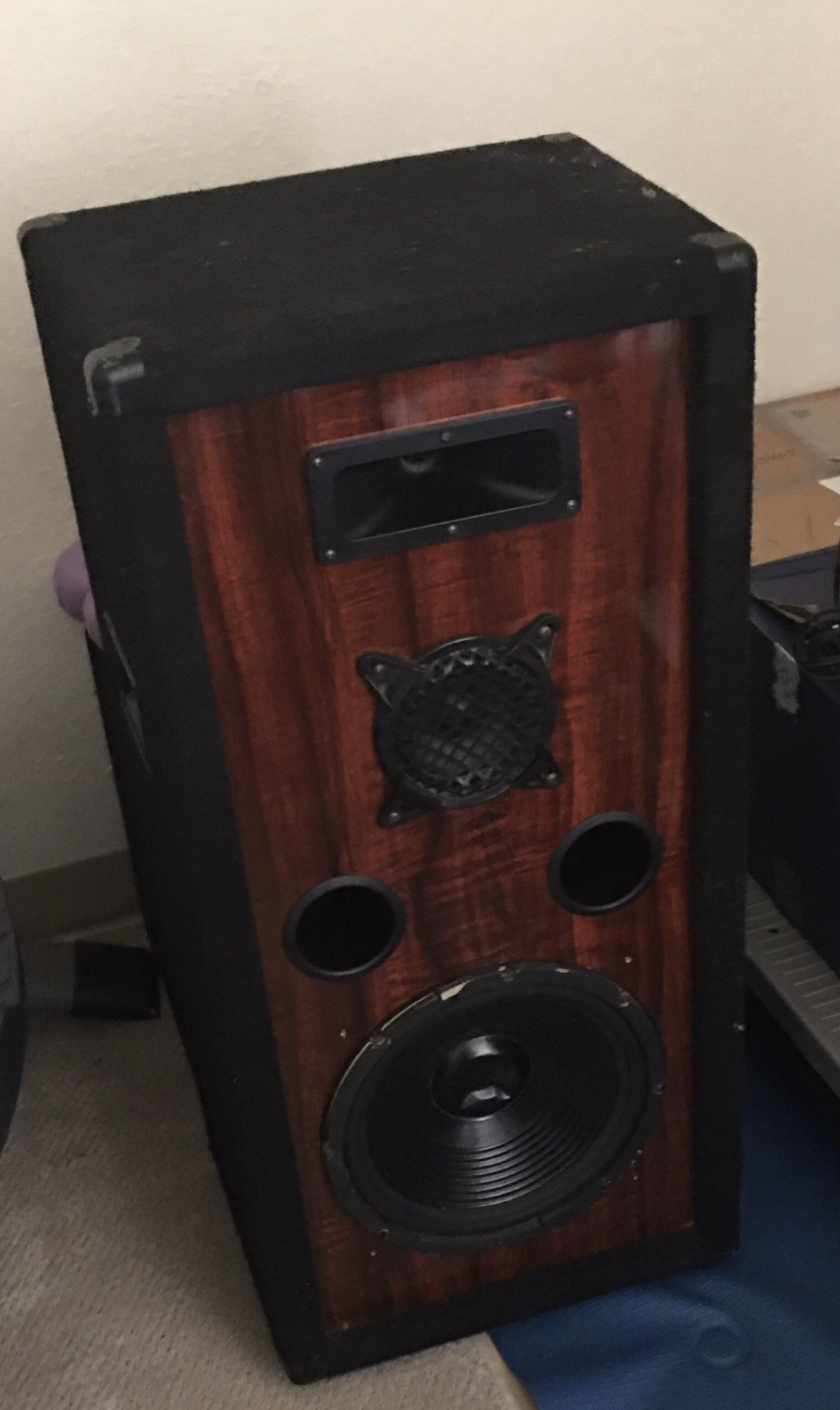 1-Pair of PRO AUDIO (12 inch / 200 watts ) speakers