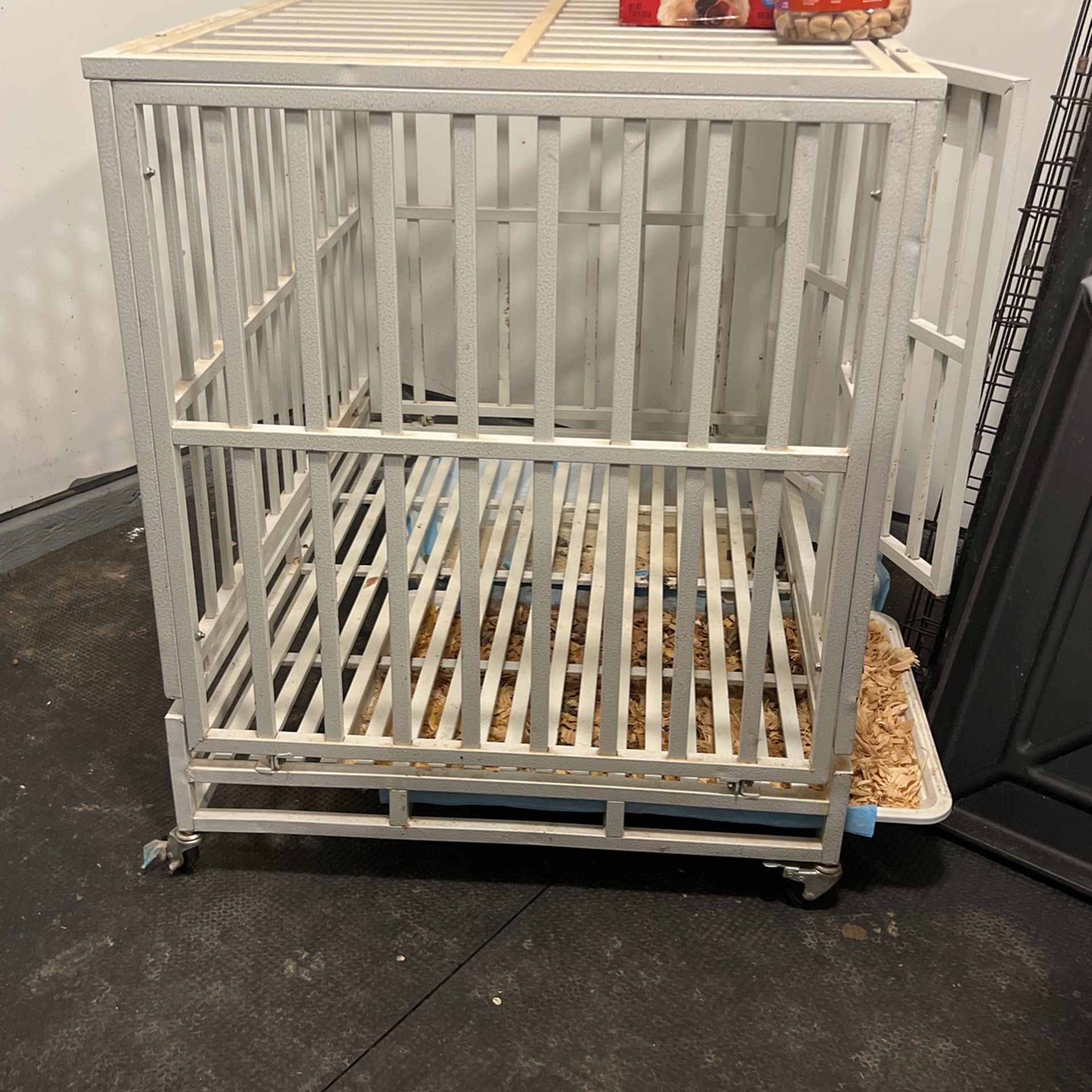 Steel Doggy Cage