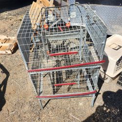 Wynola Ranch Double Quail Cage