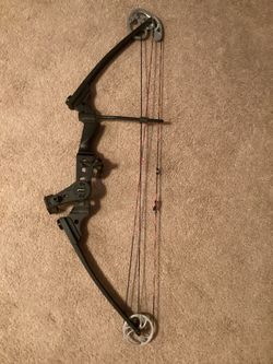 Genesis archery