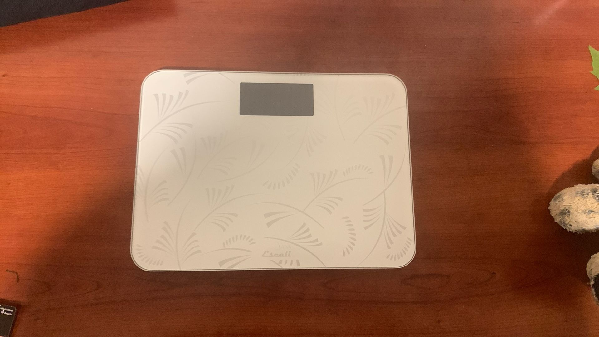 Electronic Scale (BATTERIES INCLUDED)