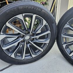 Cadillac Lyriq 20 Inch OEM Wheels