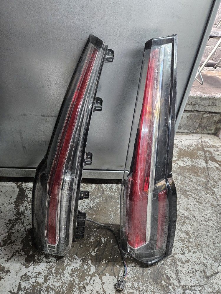 Rear Tail Lights