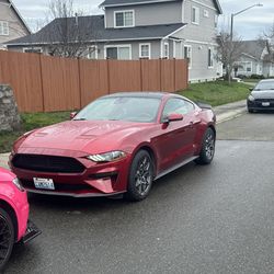 2019 Ford Mustang