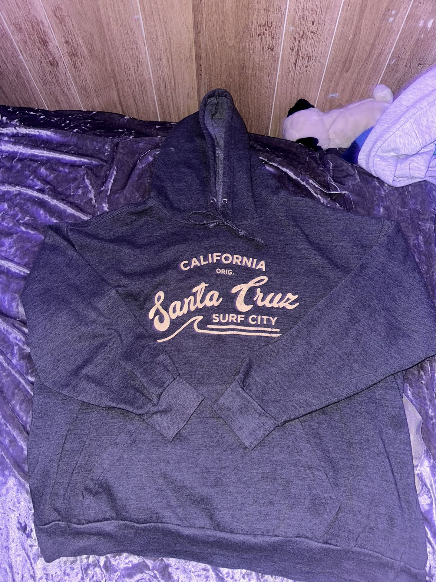 Santa Cruz Surf City Hoodie 🏄‍♂️