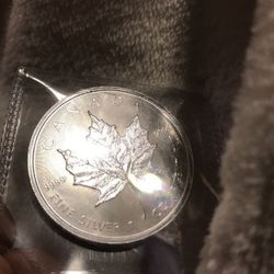 Silver .9999 the good stuff