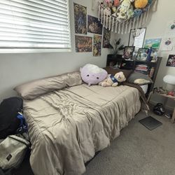 Twin Bed Frame and Mattress