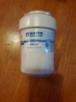 GE Refrigerator Filter WS613B