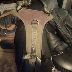 A Reddy dog harness
