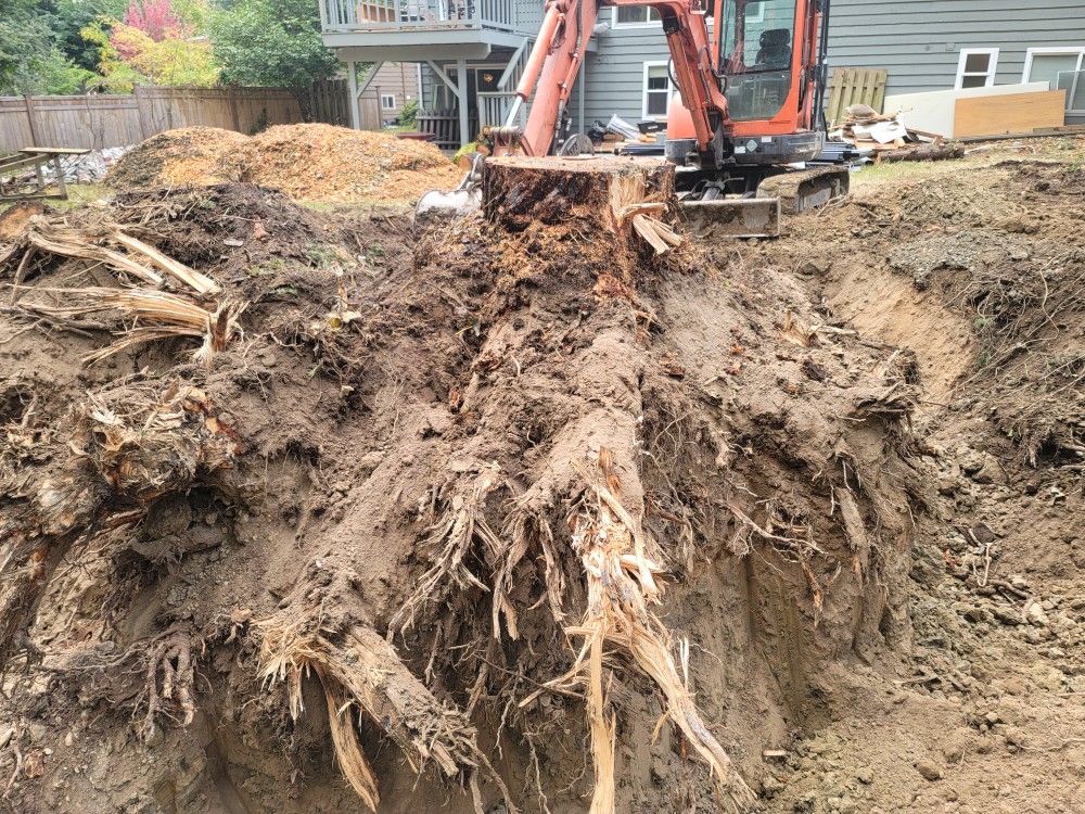 Excavating . Selling Excavating. for Sale in Federal Way, WA OfferUp