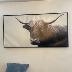 Highland Cow  Canvas 