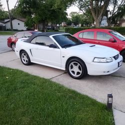 2000 Ford Mustang