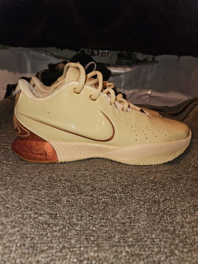 Nike LeBron 21s