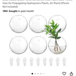 Brand New 6 Glass Wall Hanging Planters 